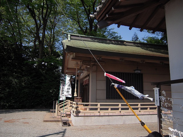 申し訳ありません…