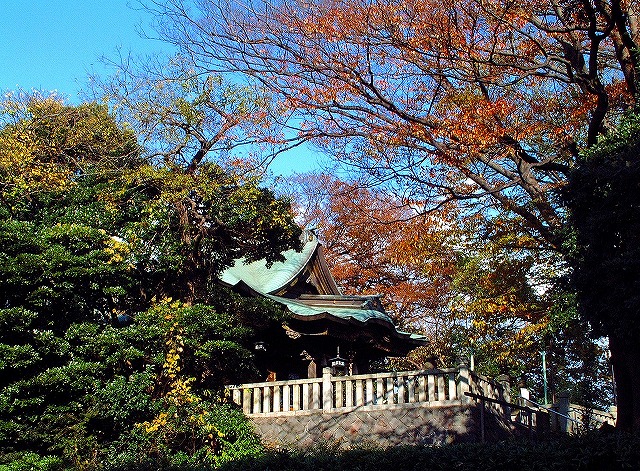 紅葉の神社
