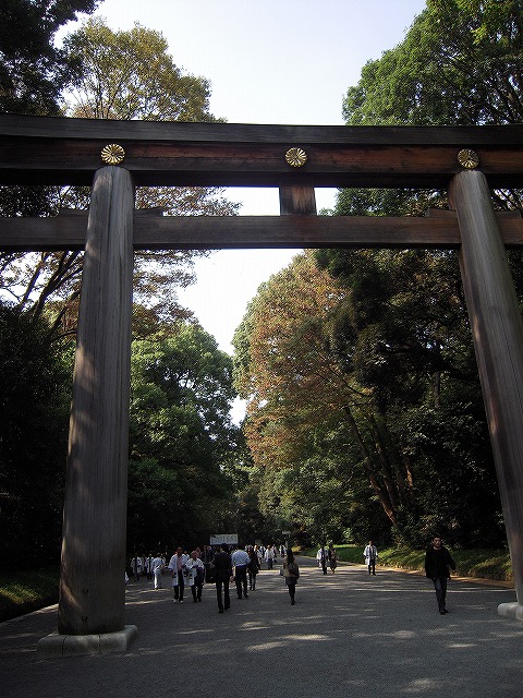 明治神宮鳥居