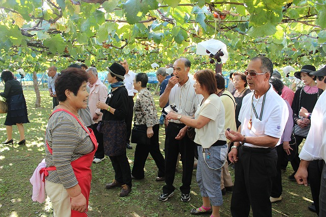 ご説明をいただく