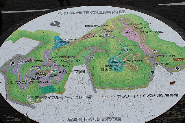 くりはま花の国