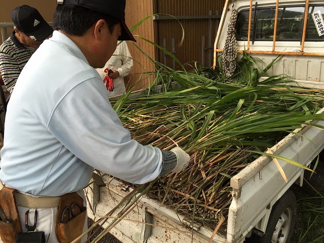茅調整作業２