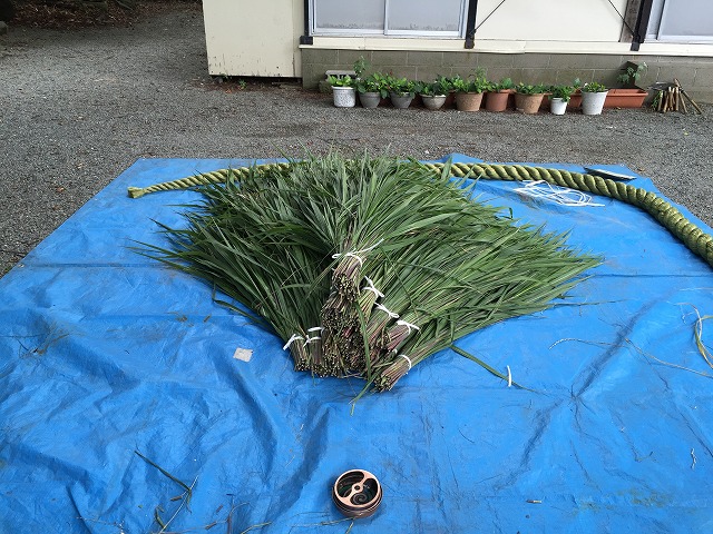 まとめられた茅