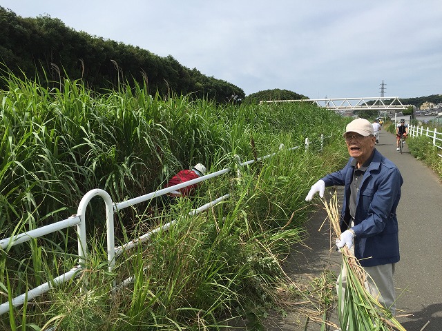 茅刈り作業3 茅刈り作業3