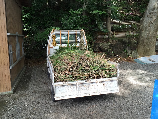 茅の輪取れ高 茅の輪取れ高