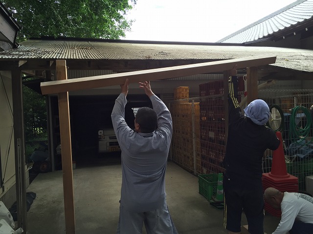 茅の輪作業7 茅の輪作業7