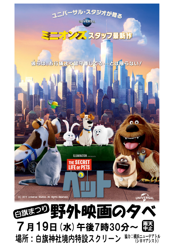 ペットチラシ表