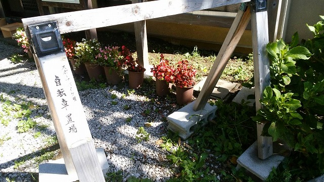 ロードバイク用の自転車置き場