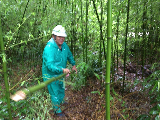 52249485-2B7B-429D-B82A-4962B2E5666C