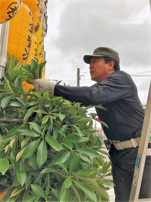 山口会長剪定中