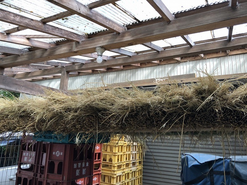 稲わら 保管