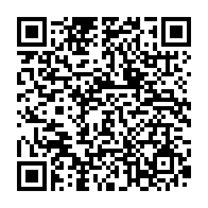 福桝配布お申し込みフォーム