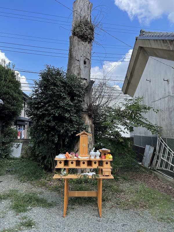 DB349379-EE15-41A6-89F6-90F9999CF926