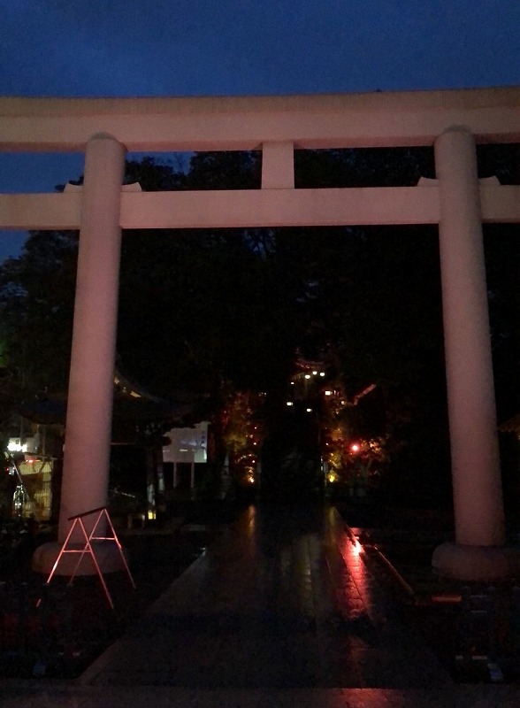 鳥居ライトアップ