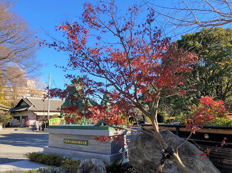 境内のモミジ