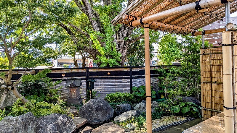 PXL_20240621_231050705~2