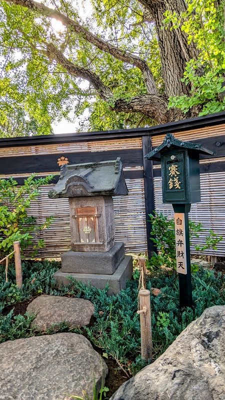 PXL_20240621_231150340~2