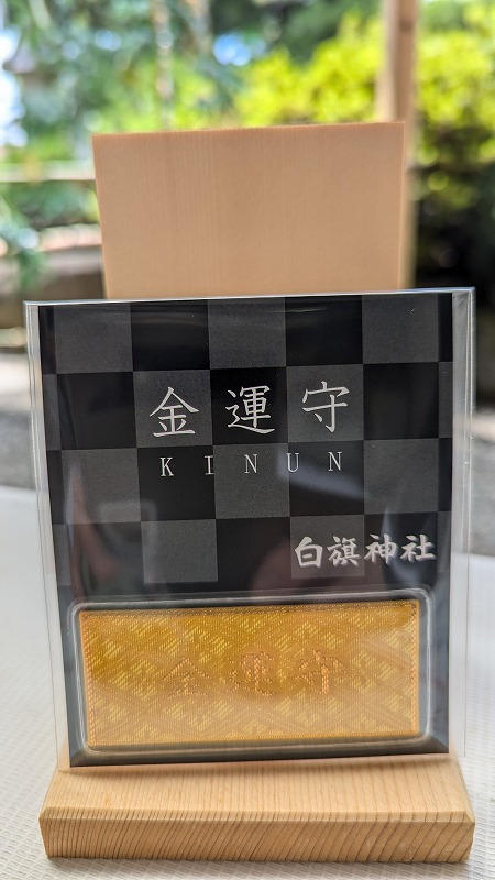 PXL_20240622_005307500