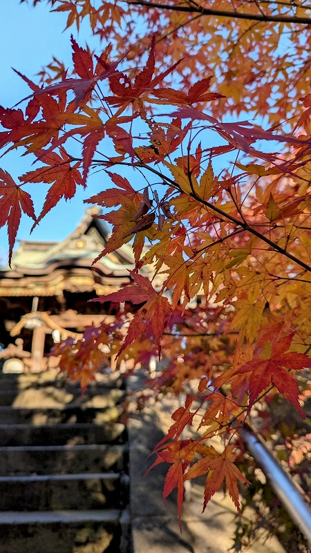 PXL_20241215_224411576.MP~3