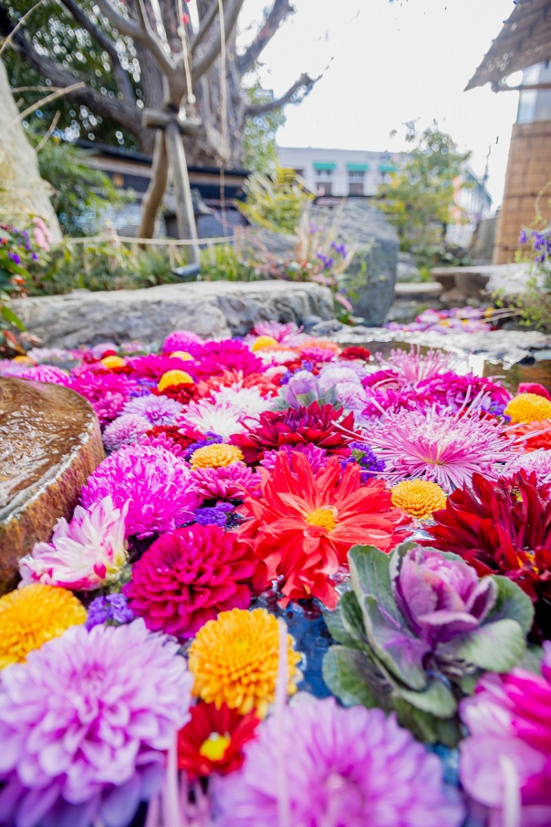 s-R7元日の様子 (49)