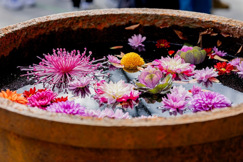 s-R7元日の様子 (35)