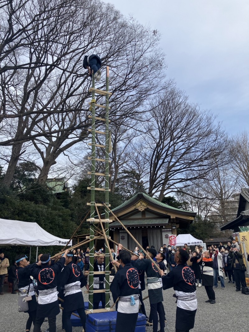 令和7年 藤沢鳶職組合 若鳶会 はしご乗り披露奉納 - 相州藤沢 白旗神社