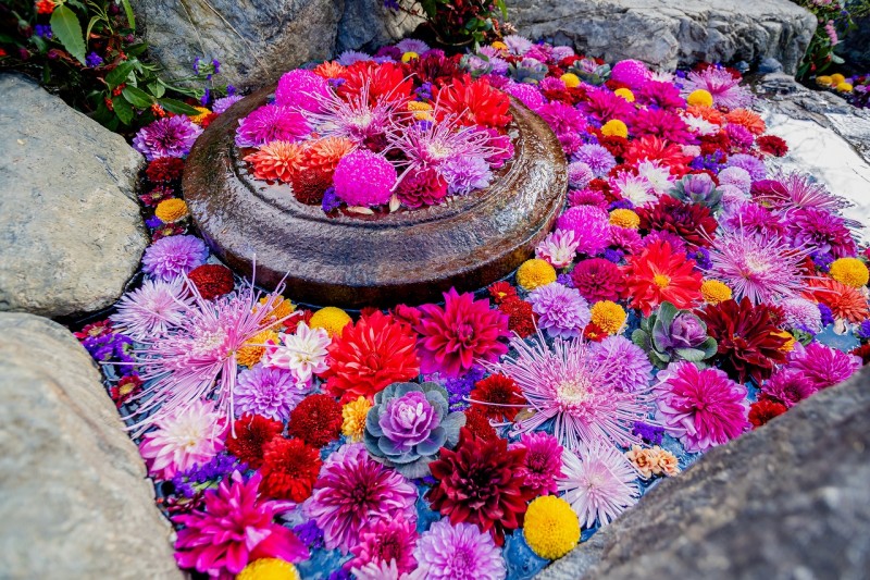 s-R7元日の様子 (48)