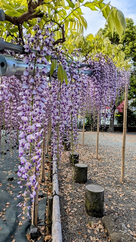 PXL_20250421_234924533.MP~2