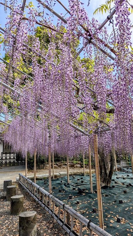 PXL_20250421_235232285.MP~2