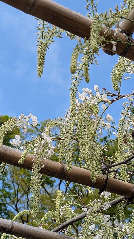 PXL_20250421_235340080