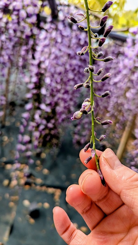 d8c01641-e80a-43da-87a9-ec44dfbc8ca4~1