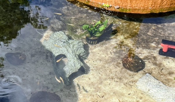 c83bb7e3-347b-4c61-bd23-f8932cc8f428~1