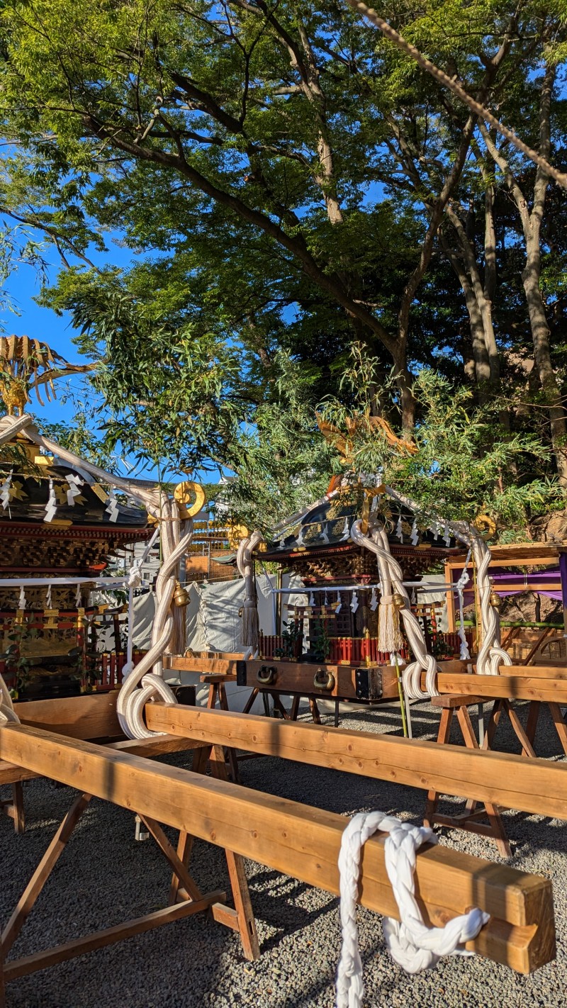 PXL_20250719_211052504