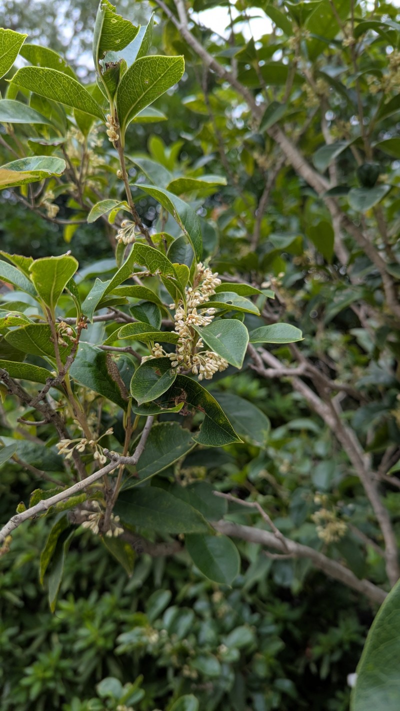 PXL_20251009_223213405.MP