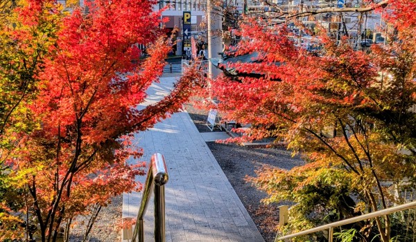 2554eb9e-e741-45af-9979-258b0ca2c8cf~1