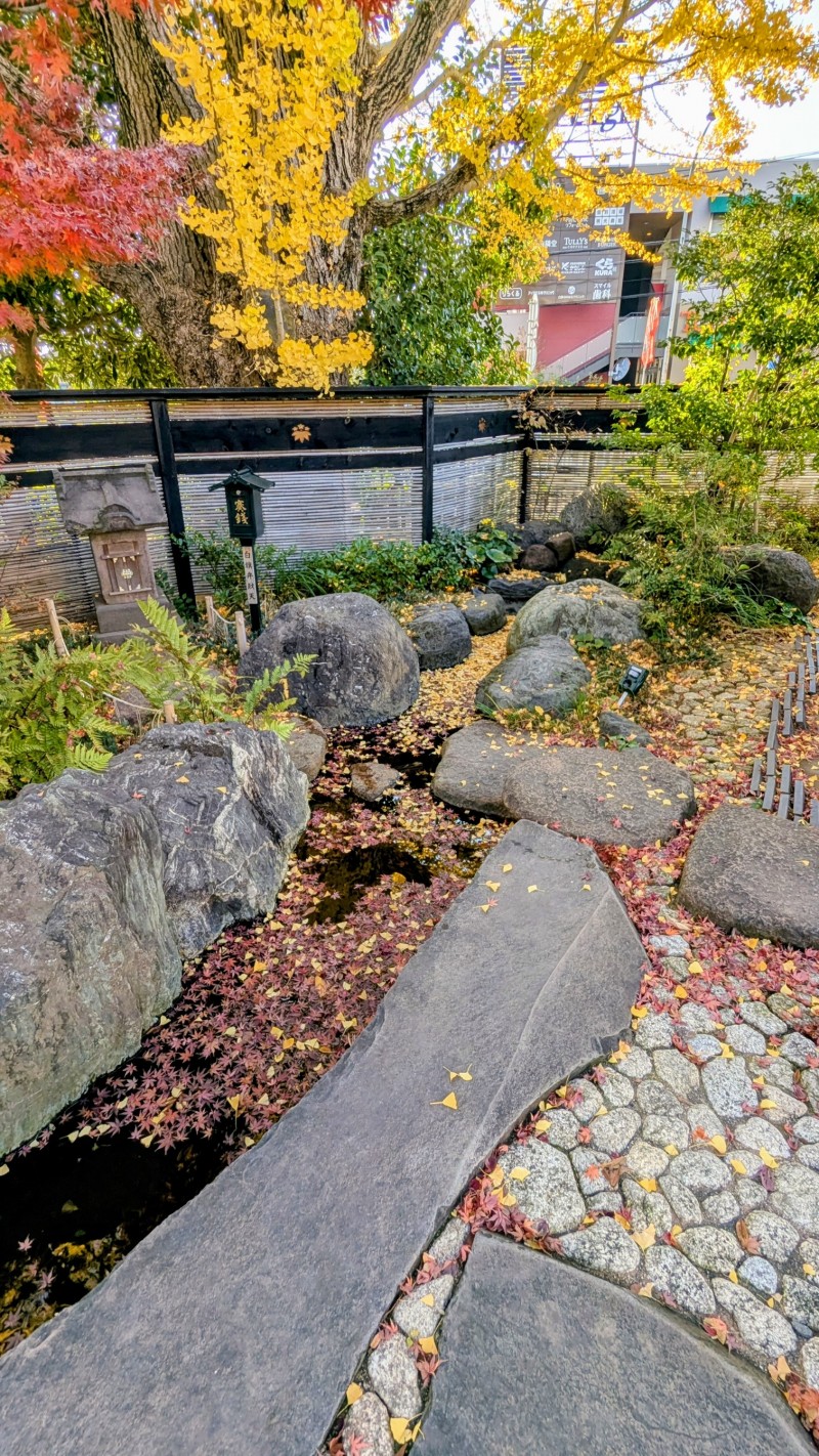 2e3f0dae-24d1-4f11-8eed-49ea7bd77f7b~1