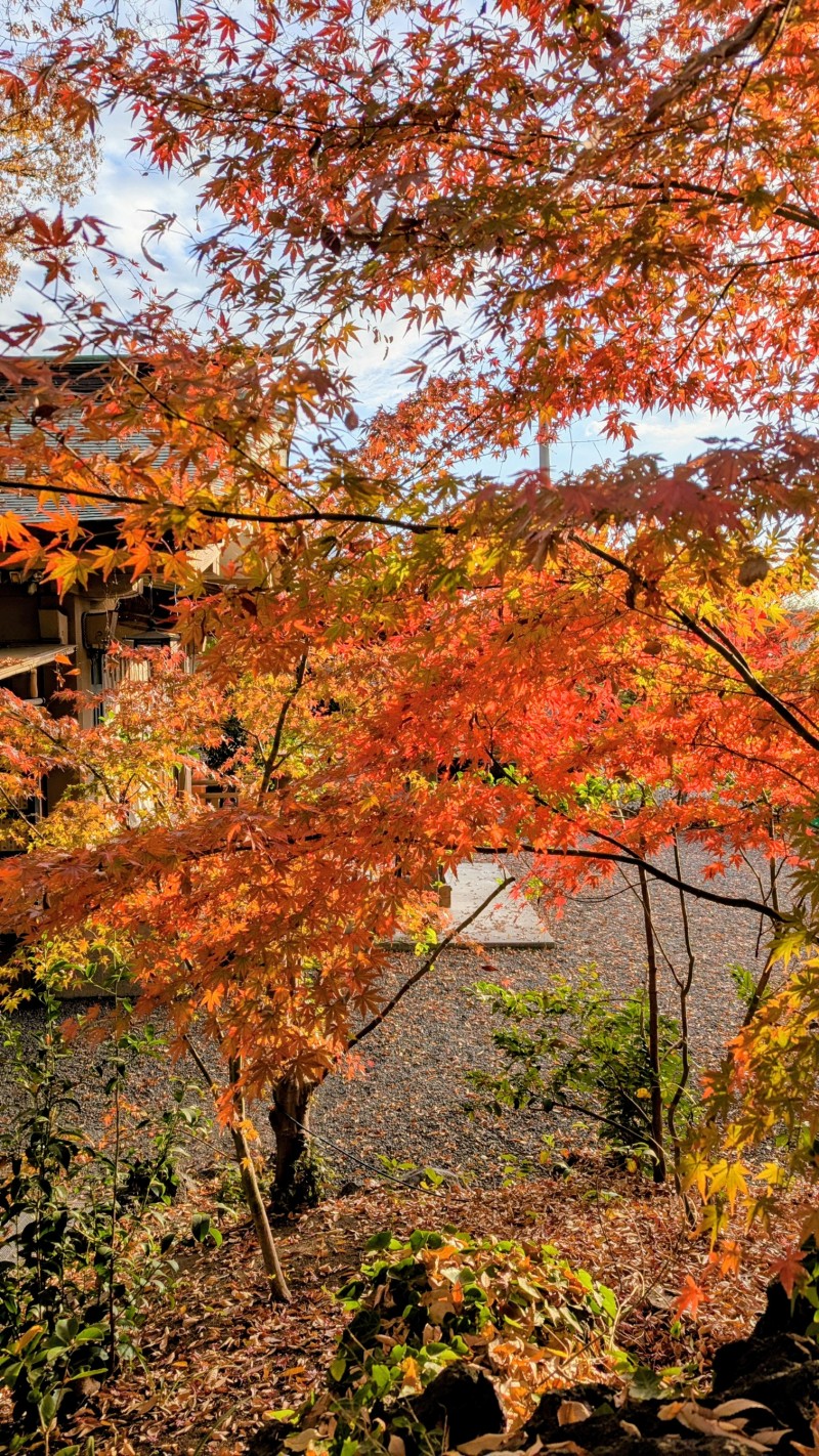 daed2dc6-dc31-4120-a750-e7d00fd18fda~1