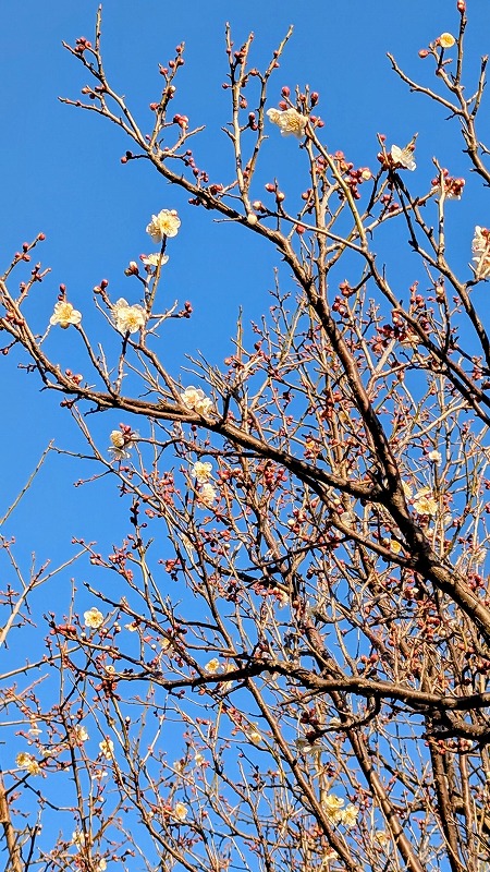 c560bcf1-f0ed-4078-ae92-9247d326c033~1