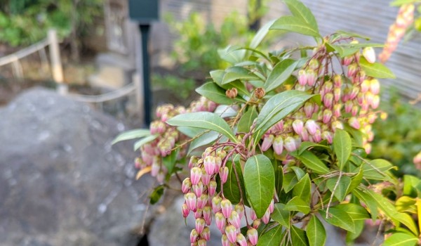 PXL_20260226_065551145~2