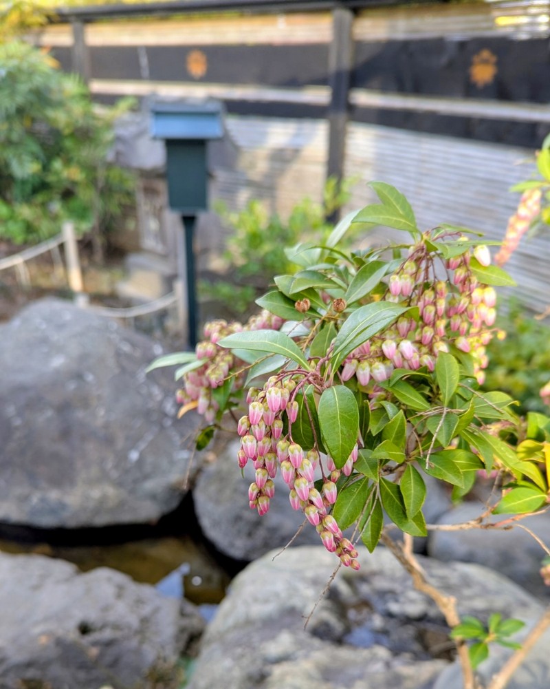 PXL_20260226_065551145~2